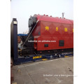 DZL Industrial coal fired steam boiler